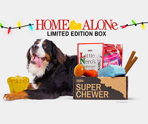 Super Chewer - Durable Dog Stuff, Delivered!